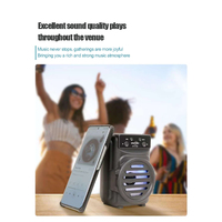 Haut-parleur portable sans fil en plastique avec caisson de basses, tweeter de 3 pouces, Bluetooth 5.0, pour la maison et l'extérieur, petit haut-parleur