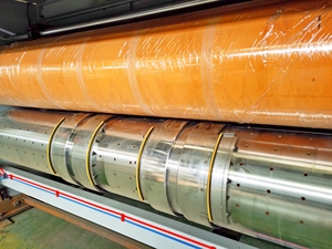 Máy in flexo Carton tự động 2 màu - Product Image 6