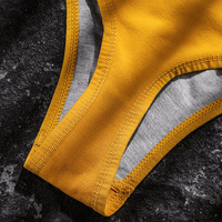 FF3324 coton taille basse hommes Sexy Bikini slips sans couture boxeurs caleçons ceinture élastique hommes Boxer slips sous-vêtements