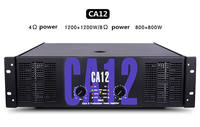 Module d'amplificateur de sonorisation CA12 800 Watts BMG, best-seller, standard sonore