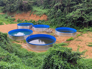 Aquacultuursysteem Met Hoge Dichtheid Aquacultuur Voor Visgarnalen Binnenshuis Andere Aquacultuurapparatuur - Product Image 2