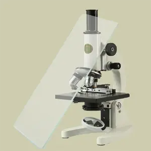 Lames de microscope en verre optique de vente chaude pour le laboratoire, l'enseignement, l'examen médical