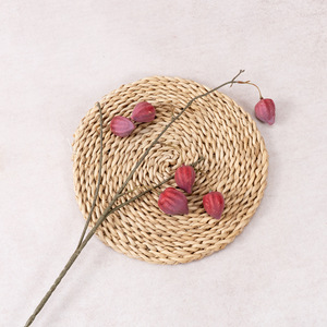 Flores Artificiales de Fisalis de 6 Cabezas, Estilo Pastoral, con Tallo Único, Plantas Artificiales de Burbuja, Arreglos Florales, Adornos Decorativos para Hotel - Product Image 2