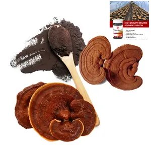 100% Organic High Quality Ganoderma Lucidum Powder Lingzhi Mushroom Capsule