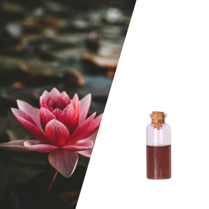 Produits chimiques quotidiens puissants à base d'ingrédients naturels, qualité cosmétique, pH 4,5-6,5, liquide brun pour éclaircir la peau et éclaircir les taches - Product Image 1