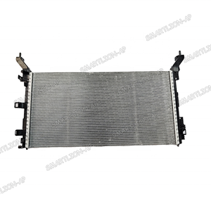 Radiateur de réservoir d'eau pour Renault <span class=keywords><strong>LAGUNA</strong></span> LATITUDE 214100052R - Product Image 1