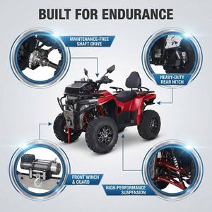 Quad 300cc monocylindre à transmission manuelle <span class=keywords><strong>4x4</strong></span> uniaxiale, idéal pour l'aventure tout-terrain extrême dans les bouets et le sable. - Product Image 2