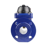 Compteur d'eau extérieur OEM IP68 à aimant pour l'irrigation agricole DN50-DN300 Multi-Jet