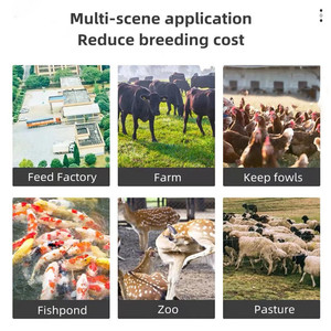 Petite ligne de production d'aliments pour bovins et poulets/moulin à granulés pour aliments pour animaux/broyeur et mélangeur d'aliments pour volailles - Product Image 6