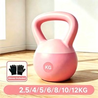 Kettlebell violet 6 kg 13 lb en fer avec revêtement antidérapant pour femmes, entraînement complet du corps, squats, kettlebells pour débutants, entraînement à domicile