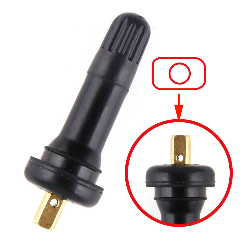 Système de surveillance des pneus TPMS-01