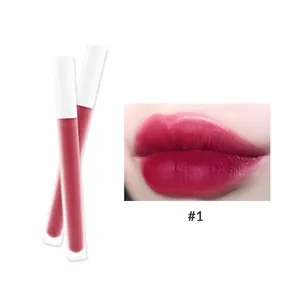 Langlebige wasserdichte Private Label Liquid Cosmetics Machen Sie Ihre eigene Marke Vegan Custom 6 Farben Nude Samt Lippenstift