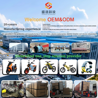Speciale Aanbieding Groothandel SHENGGE Commuter E-Motorfiets 60V 800W 10-inch Band E-mark Goedgekeurd Schijfrem 45-55km/u