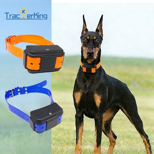 Dispositif de suivi en temps réel 4G pour chiens de chasse, bétail, chevaux, dispositif de suivi intelligent GPS pour animaux, localisateur - Product Image 1