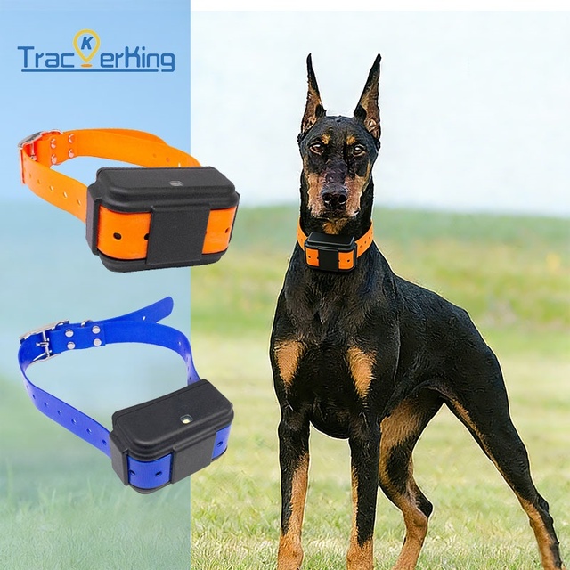 Hunting Dog Cattle Horse Motion Monitoring Real Time 4G Tracking Device Animal Smart Gps Tracker Locator