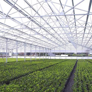 Skyplant Customized Multi-span Glass <b>Greenhouse</b> 5.5m Height Large Scale Automatic Smart Wind Resistant Commercial Agriculture - Product Image 6