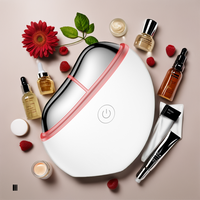 Masseur Guasha anti-rides ABS haute fréquence portable, lifting du visage, resserrement de la peau, 4-en-1, sans fil, anti-cellulite, pour le cou et les jambes