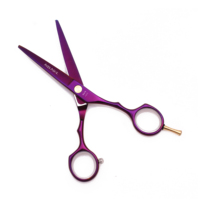 AQIABI Ciseaux de coiffeur professionnels 5.5 ''JP Ciseaux de coupe de cheveux en acier Ciseaux amincissants Pointe pointue Violet A1104 Acier inoxydable