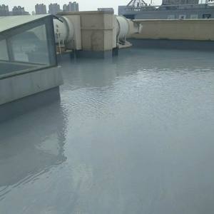 <span class=keywords><strong>Membrana</strong></span> <span class=keywords><strong>de</strong></span> Revestimiento Impermeable <span class=keywords><strong>de</strong></span> <span class=keywords><strong>Poliurea</strong></span> Líquida Ecológica <span class=keywords><strong>de</strong></span> Diseño Moderno Jinhai con 5 Años <span class=keywords><strong>de</strong></span> Garantía - Product Image 6