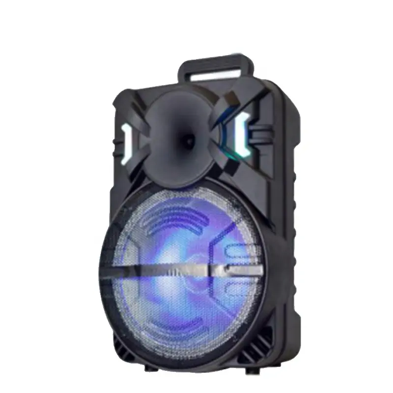 Calidad superior 12 pulgadas modo privado 20W recargable Trolley altavoz reproductor de música para escenario