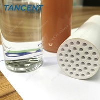 TANGENT Nouvelle membrane d'ultrafiltration céramique de haute qualité pour modèle de machine CRP, boîtier robuste, 1000 L/heure, garantie de 2 ans
