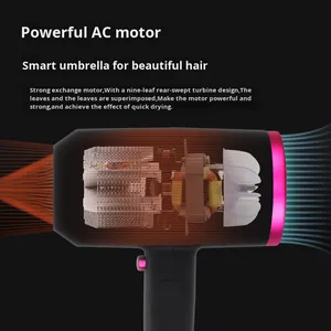 Secador de Pelo <span class=keywords><strong>Eléctrico</strong></span> de Tamaño Pequeño al por Mayor con Motor AC, Plegable y con Función Iónica para Uso Doméstico con Caja de Regalo - Product Image 2