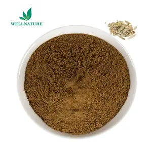 Natural Pure Senna Extract Sennosides A+B 20% Senna Leaf Extract