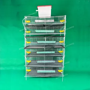 cage for quail layer egg quail rearing cage plastic quail-cages-for-sale