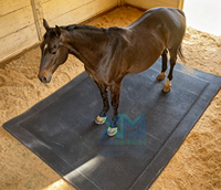 Matelas ultra confortable pour box à chevaux, matelas en mousse pour écurie, matelas pour box équestre