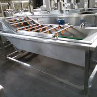 Groente Air Bubble Cleaning Machine Plantaardige Desinfecteren Machine Groente Sorteren Tafel