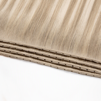 Luxsea 2026 Nouveaux produits Cheveux Remy à cuticules intactes Extensions de cheveux à trame papillon fines et invisibles Cheveux humains