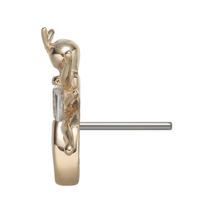 Nueva llegada 14K oro sólido gema hormiga superior Animal extremo sin rosca Daith cuerpo joyería al por mayor para perforación dérmica - Product Image 3