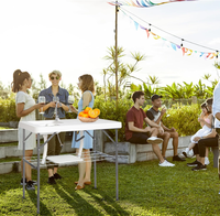 Table de filet pliante portable HDPE de meilleur choix pour le camping en plein air
