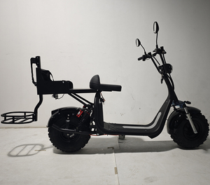 Scooter de golf électrique Loyal 50 km/h avec GPS, pliable, étanche, batterie au lithium 2000W - Product Image 5