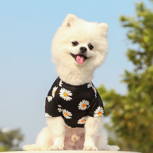Camiseta Shine And Shine para perros pequeños, ropa de verano de manga corta a la moda para Teddy Bichon Frise - Product Image 4