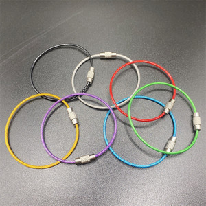 Cadenas en acier inoxydable coloré et revêtu de plastique en stock, <span class=keywords><strong>porte</strong></span>-clés en câble métallique, anneaux de clés durables pour un usage quotidien - Product Image 2