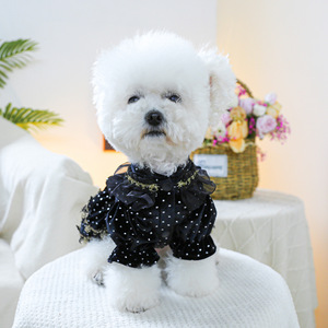 PETCIRCLE Ropa para Perros Pequeños y Cachorros: Vestido Negro y Dorado para una Atmósfera Festiva Oscura - Product Image 3