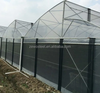 Serre agricole commerciale de grande taille GT Outdoor à simple travée avec film PE transparent et structure en acier galvanisé à chaud pour plantes