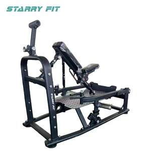 Máquina de Ejercicios para Gimnasio, Máquina de Remo con Placas de Peso, Brazos de Acero y Extensión de Espalda, Uso Comercial - Product Image 2