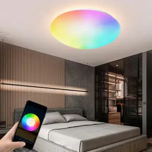 Slimme Led Plafondlamp Werk Met Apple Homekit,Alexa En Google Assistent Rgbcw Plafond Licht Timer Schema 24W Flush Mount