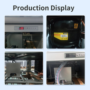 Enfriador <span class=keywords><strong>de</strong></span> bebidas <span class=keywords><strong>de</strong></span> supermercado <span class=keywords><strong>de</strong></span> doble puerta, <span class=keywords><strong>precio</strong></span> <span class=keywords><strong>de</strong></span> fábrica, equipo <span class=keywords><strong>de</strong></span> refrigeración Comercial, escaparate <span class=keywords><strong>de</strong></span> puerta <span class=keywords><strong>de</strong></span> <span class=keywords><strong>vidrio</strong></span>, venta al por mayor - Product Image 3