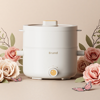 Dernier populaire de luxe couleur réglable 2L antiadhésif électrique mini multifonctions casseroles électrique marmite électrique multi-cuiseur