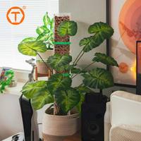 Support de plante Monstera d'intérieur de 60 cm, piquet empilable en plastique en forme de D pour plantes grimpantes
