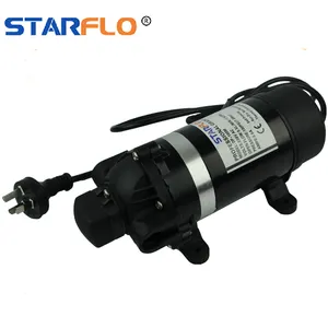 Starflo DP-120M 220V Ac 5.5LPM 120PSI Handspuit Pomp Hoge Druk Water Mist Pomp Voor Auto Wassen