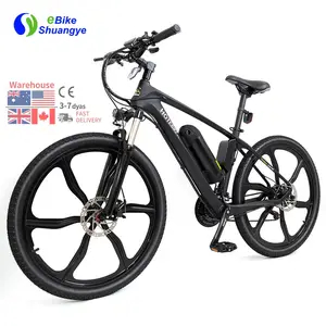 Fabrika çıkışı 500w elektrikli bisiklet motoru elektrikli plaj kruvazörü bisiklet/diğer elektrikli bisiklet/ebike motosiklet