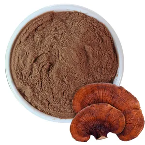 EU & USDA Organic Ganoderma Lucidum Reishi Mushroom Extract Powder