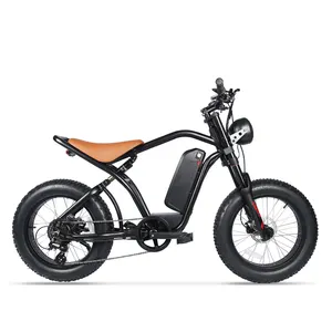 EZREALHL01ハーレー最高品質の電動ペダルバイクミッドモーター1000W新しい形状のファットタイヤe-bikeダウンチューブバッテリーe-mtb自転車