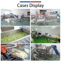 Ligne de traitement automatique de salades de légumes et de fruits FengXiang, ligne de traitement et d'emballage de choux et de laitues