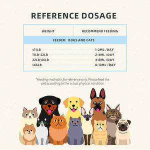 Solución de hierbas naturales para alergias a gatos y perros Mejora la salud inmunológica Mejora respiratoria - Product Image 6