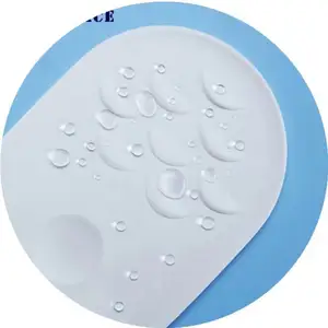 Durable water based nano super hydrophobic coating for plastics